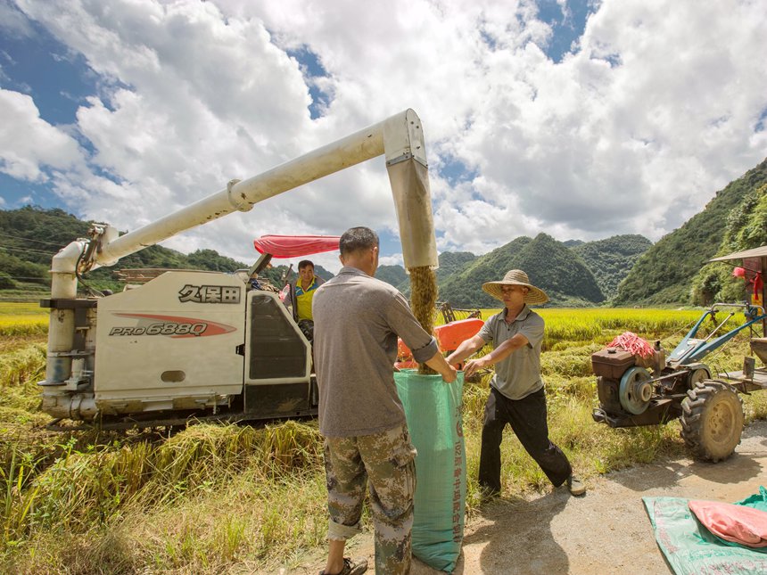 装袋。李世华摄