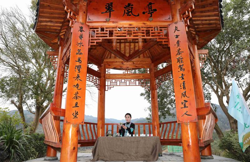 茶艺表演。龚普康摄