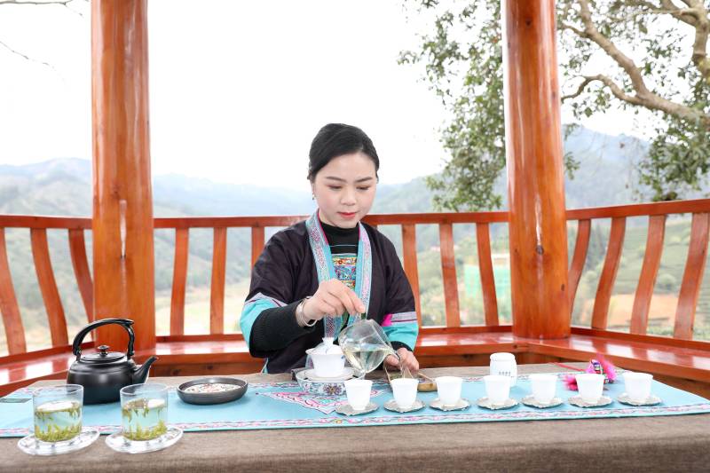 茶艺表演。龚普康摄