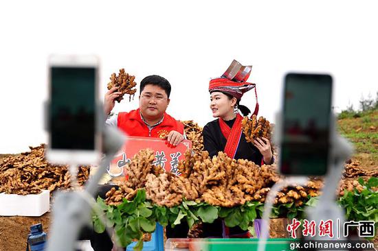 3月17日,在金秀瑶族自治县六巷乡青山村,志愿者主播进行公益直播,为姜农直播带货销售生姜。高如金 摄