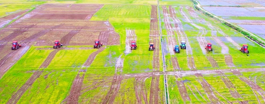 机械化作业提高春耕效能。卢星骏摄