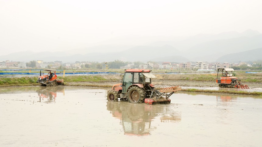 机械化作业提高春耕效能。邹庆林摄