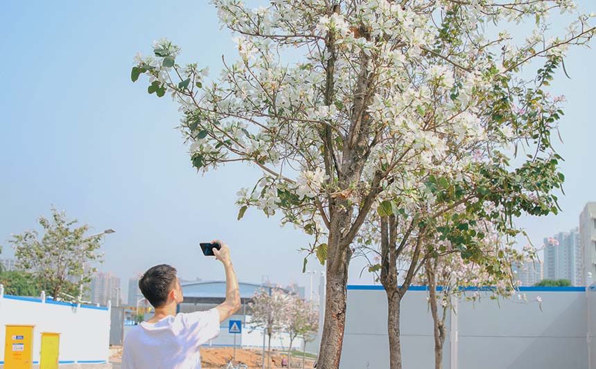 学生驻足拍照。黄皓阳摄