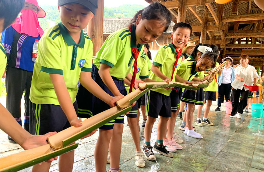 研学活动现场。