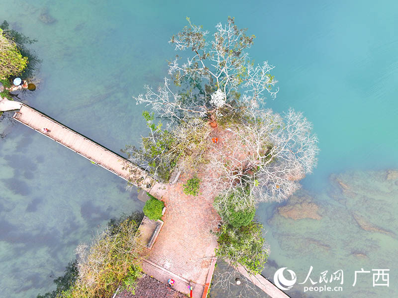 泉眼处晶莹透彻的泉水。人民网 付华周摄