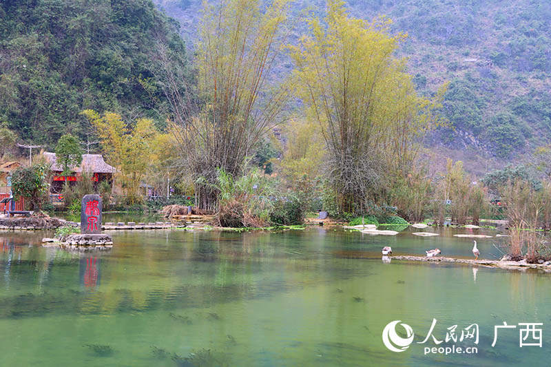 翠竹婆娑的鹅泉。人民网 付华周摄