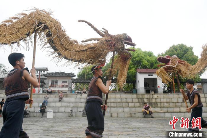 图为仫佬族民众在舞草龙。 廖光福 摄 图为仫佬族民众在舞草龙。 廖光福 摄
