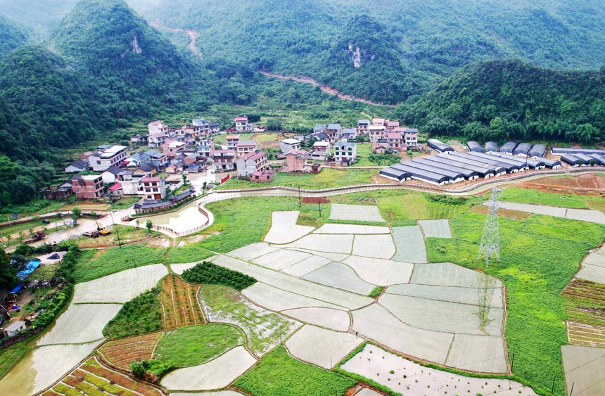 田园处处洋溢着勃勃生机。