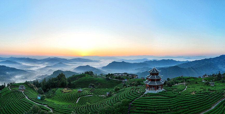 10月16日,无人机航拍三江侗族自治县八江镇布央村仙人山茶园。