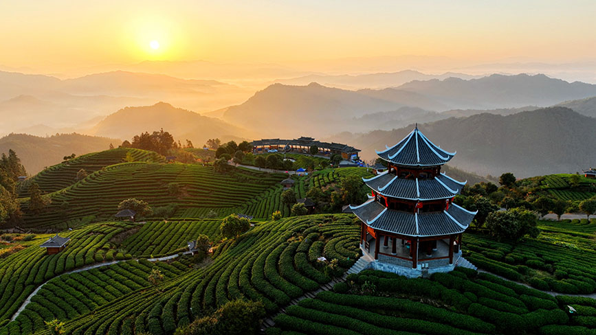 10月16日,三江侗族自治县八江镇布央村仙人山茶园的云海日出美景。