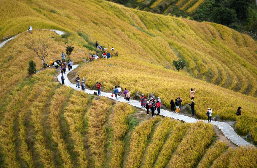 游客在景区观光游览。潘志祥摄