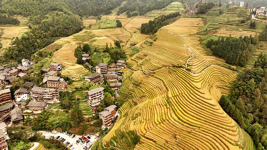 俯瞰龙脊梯田景区