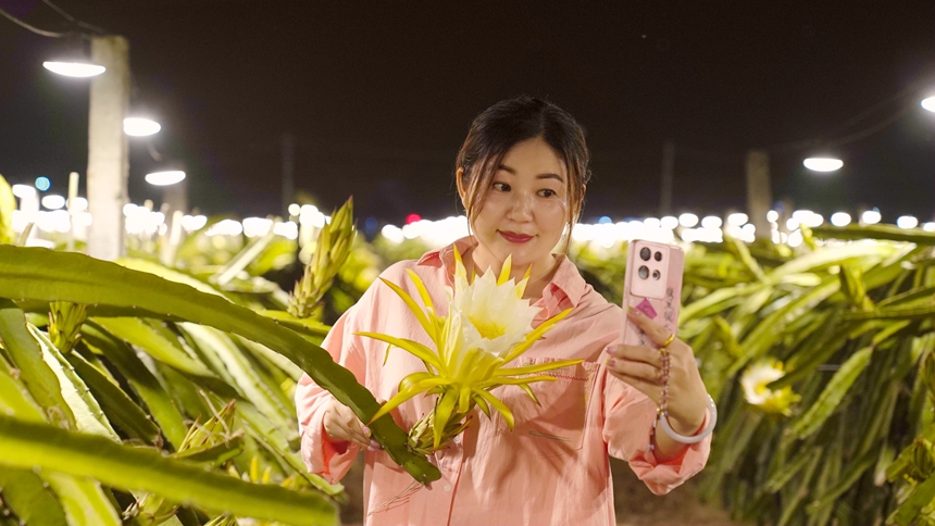 游客正在打卡拍照。港北区融媒体中心供图