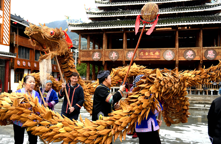 侗族村民在练习舞草龙 侗族村民在练习舞草龙