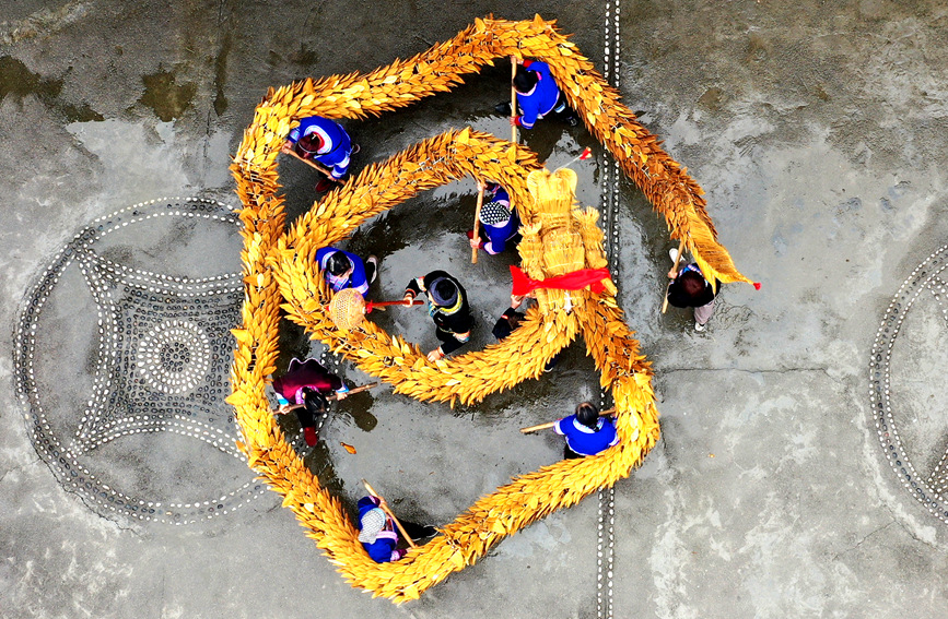 侗族村民在练习舞草龙 侗族村民在练习舞草龙